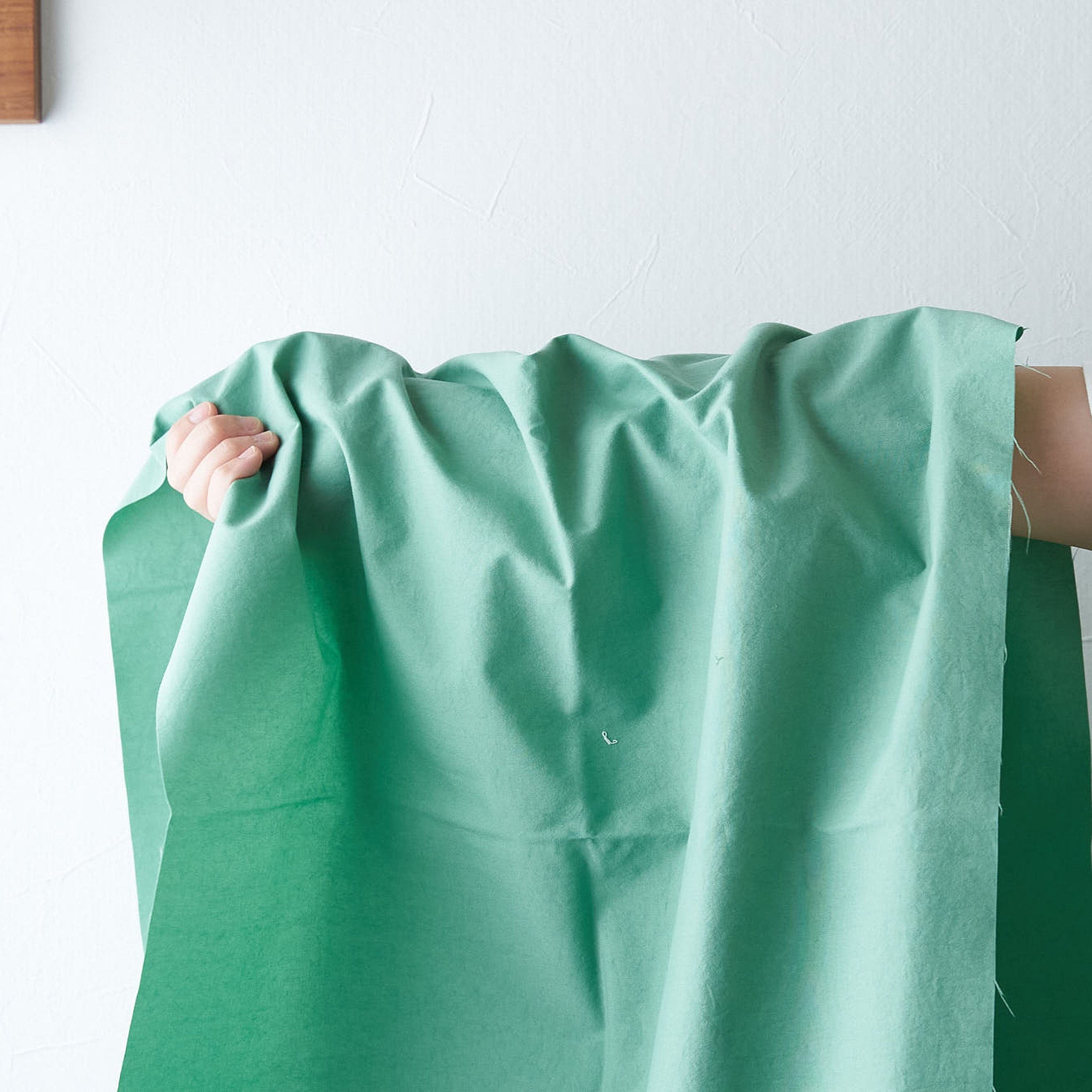 天然染料 ナチュラル ナイロン オックス#17クワ