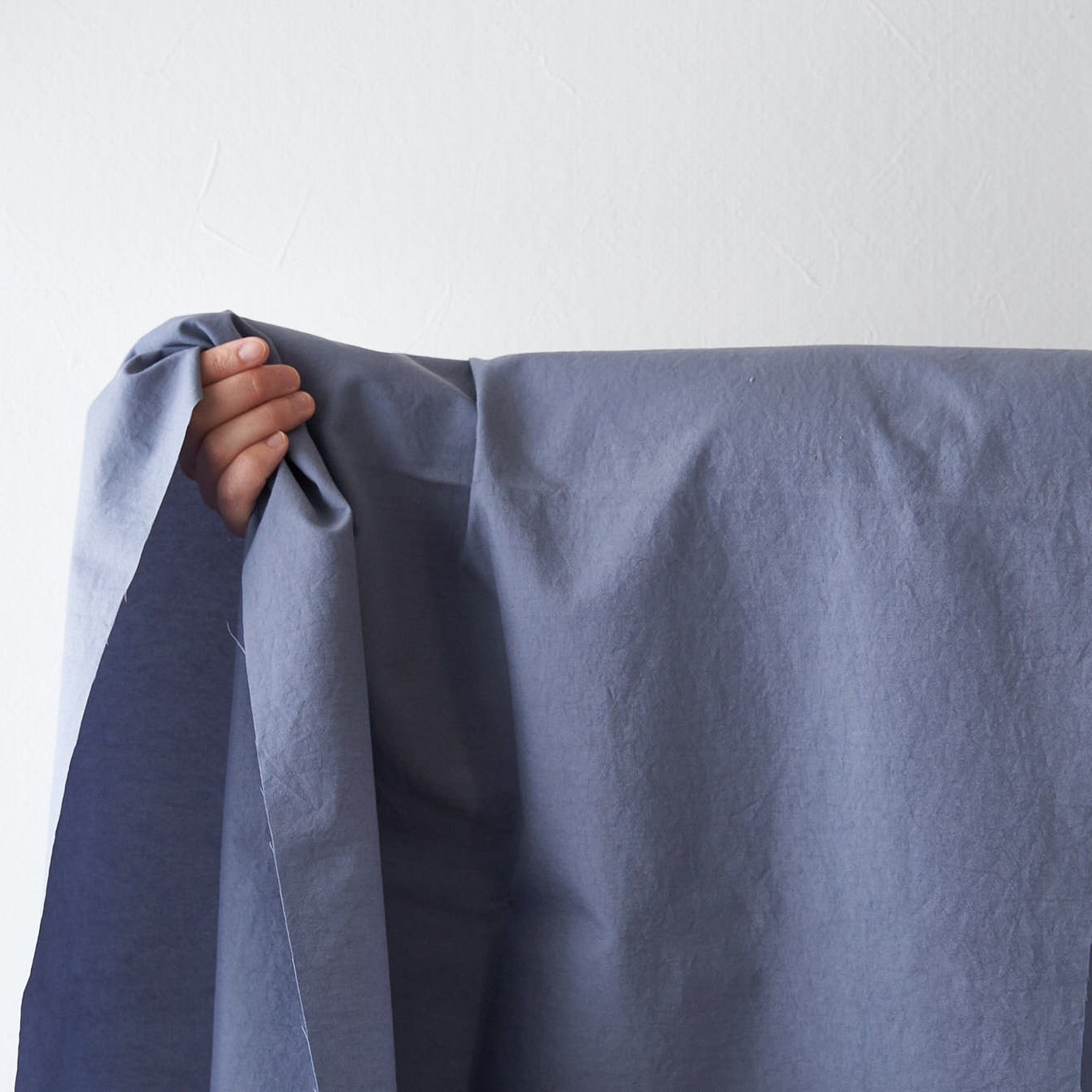 天然染料 ナチュラル ナイロン オックス#19ログウッド