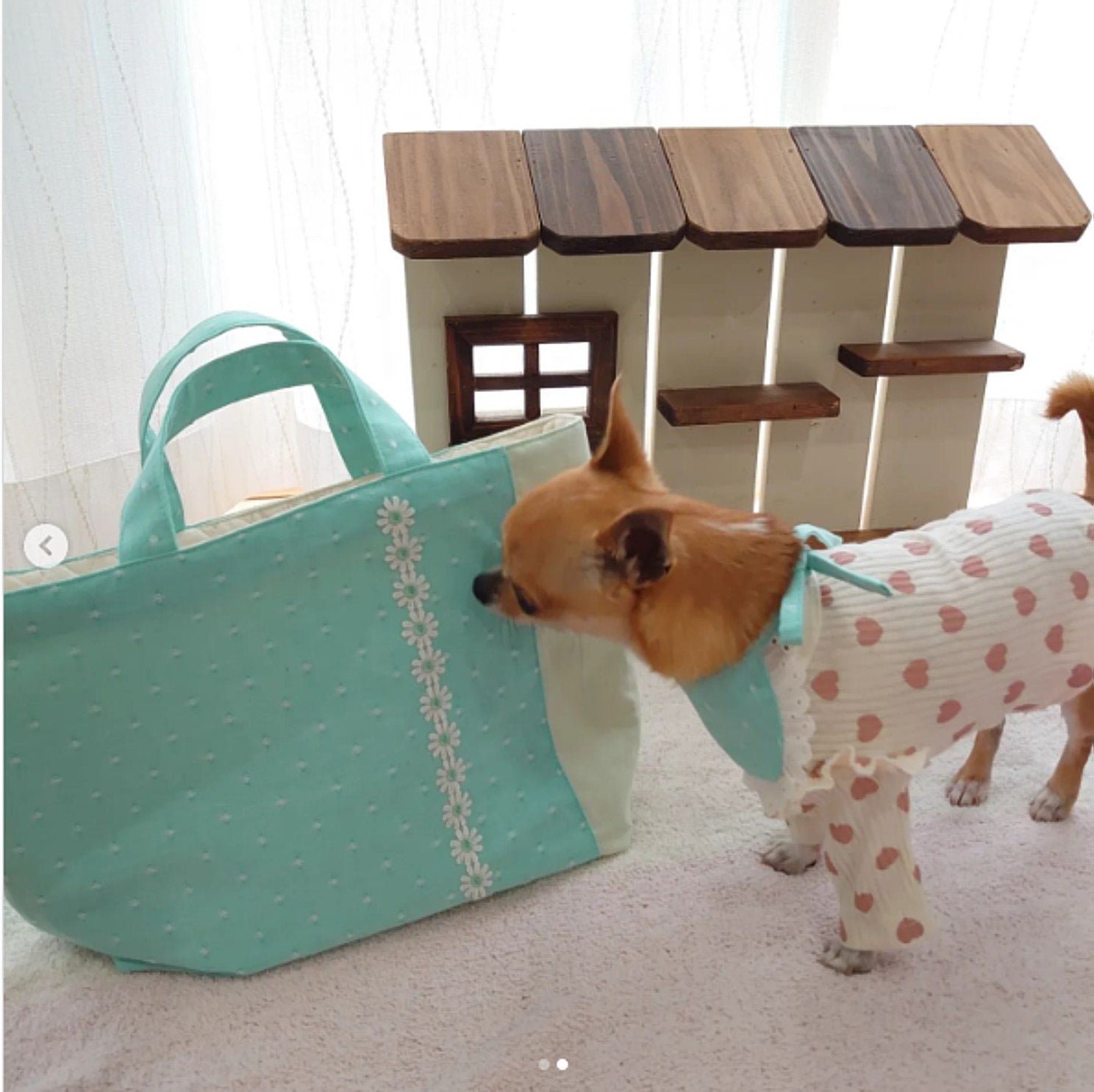 綿ポリソフトダンガリー織ドット#105 ミントグリーン