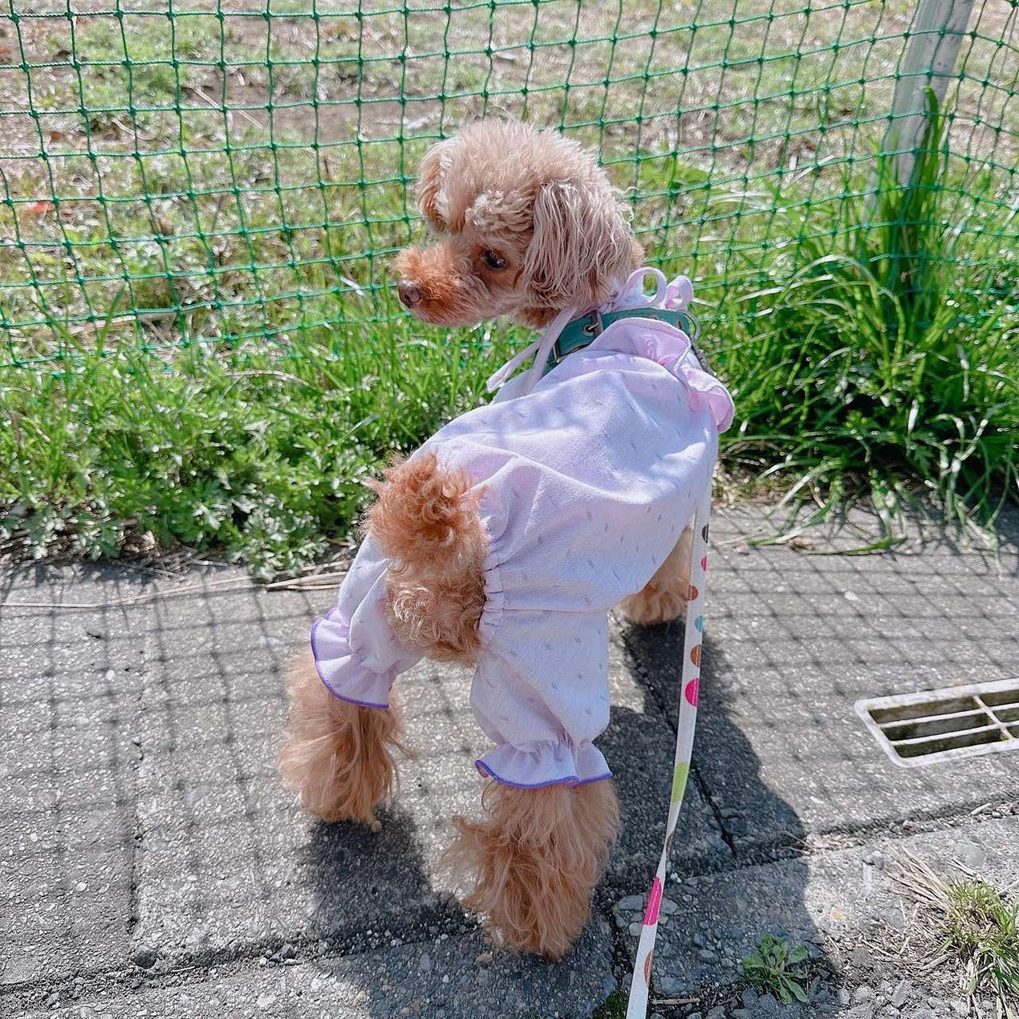 綿ポリソフトダンガリー織ドット#123 ペールラベンダー