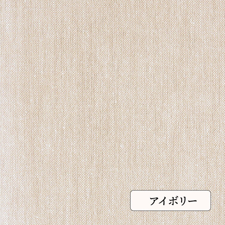 カラー見本 アイボリー