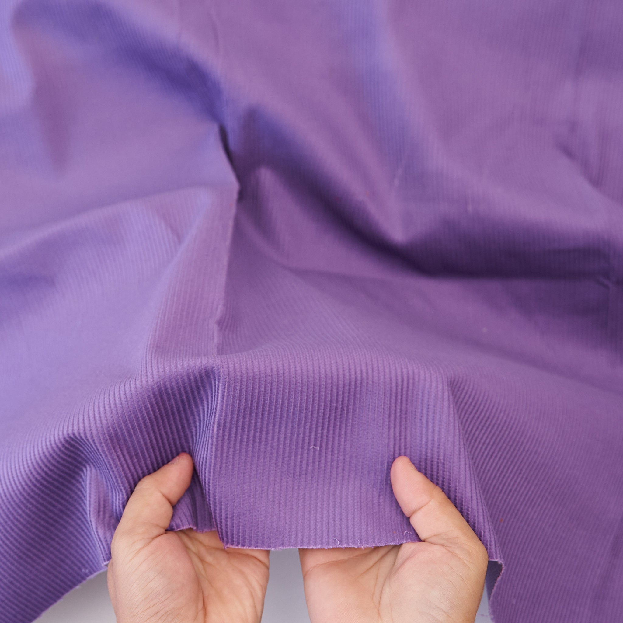 コットン 8W コーデュロイ #v パンジーパープル