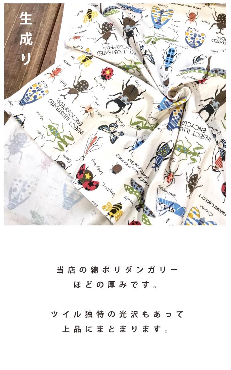 コットンツイル ビートル