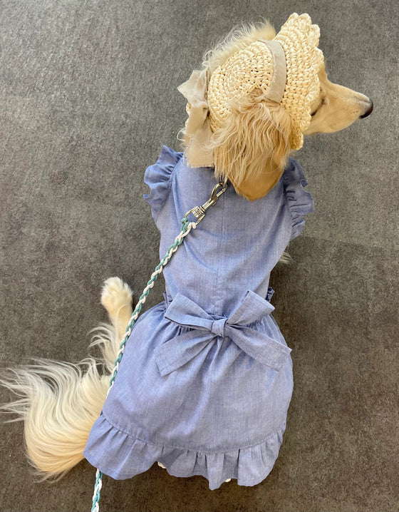 13-002 バックリボンフリル ドッグワンピースを6600ブルーで作った犬服作品