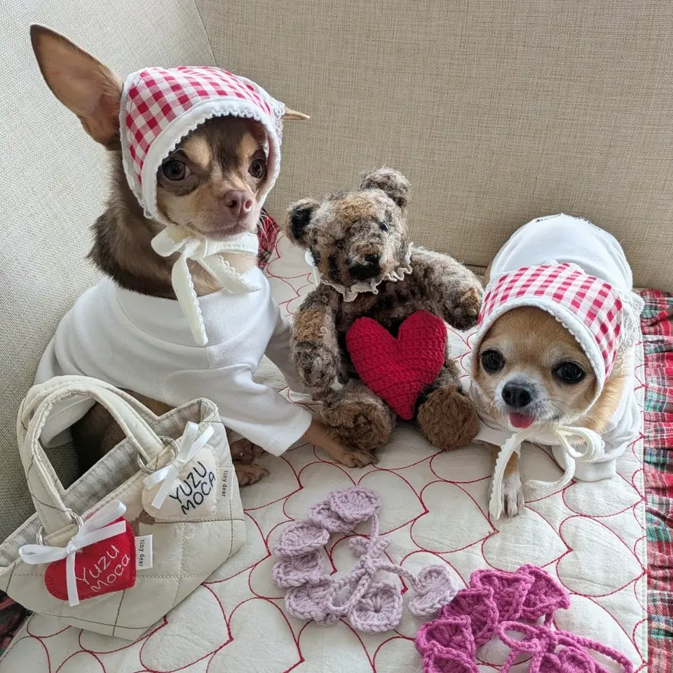 ペット服の作品例