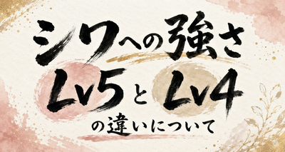 シワへの強さLv5とLv4の違いについて