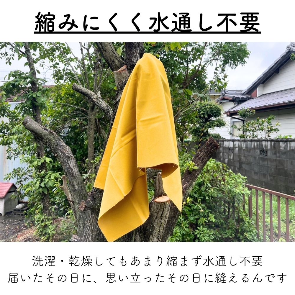 11号 帆布 画像5