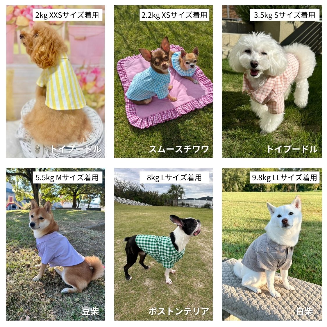 イージードッグシャツの型紙