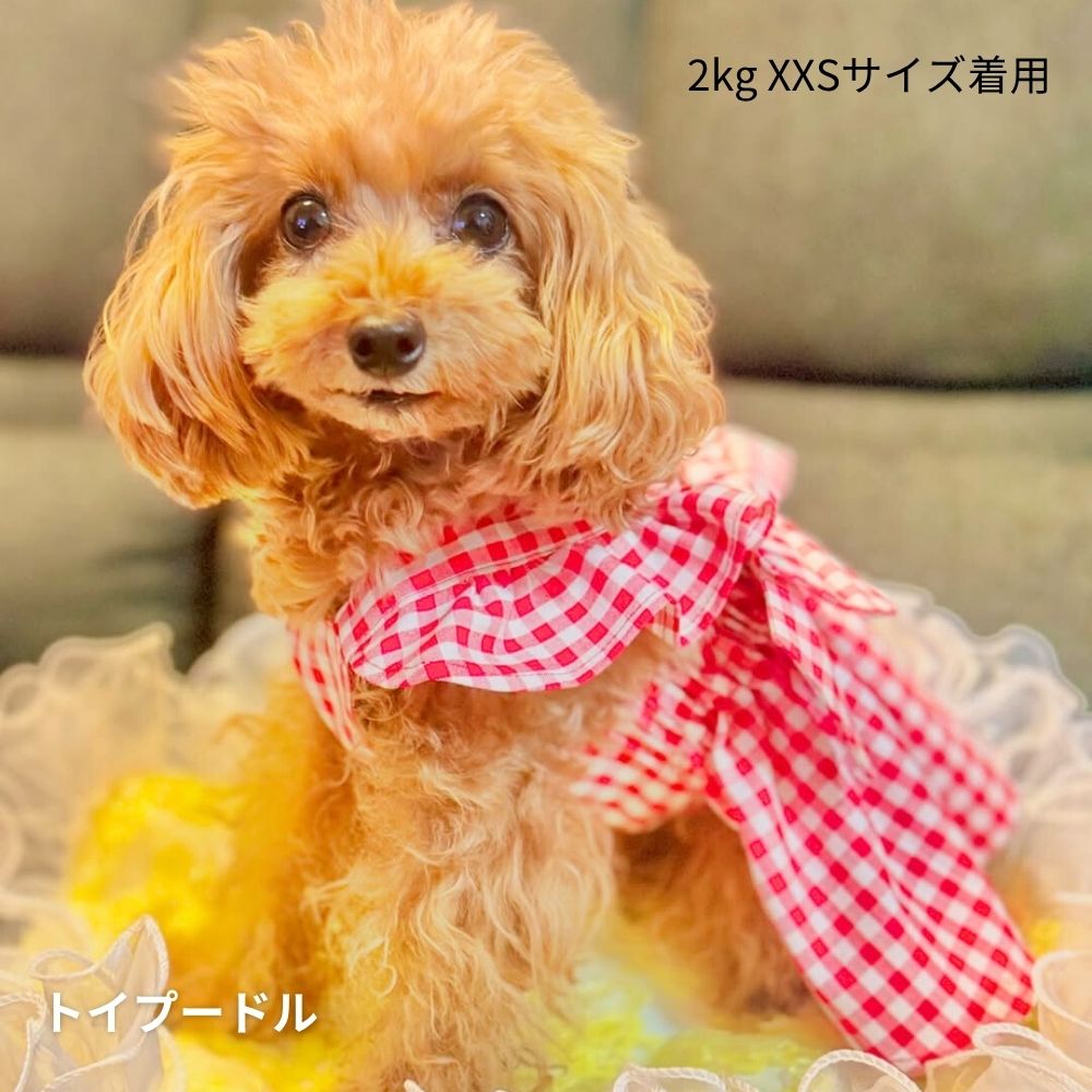 バックリボンフリル ドッグワンピースの型紙