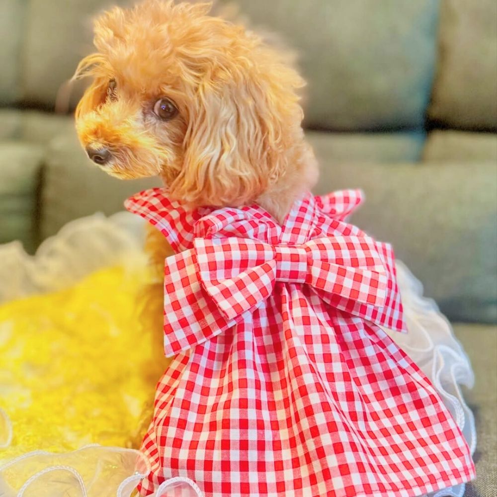 バックリボンフリル ドッグワンピースの型紙
