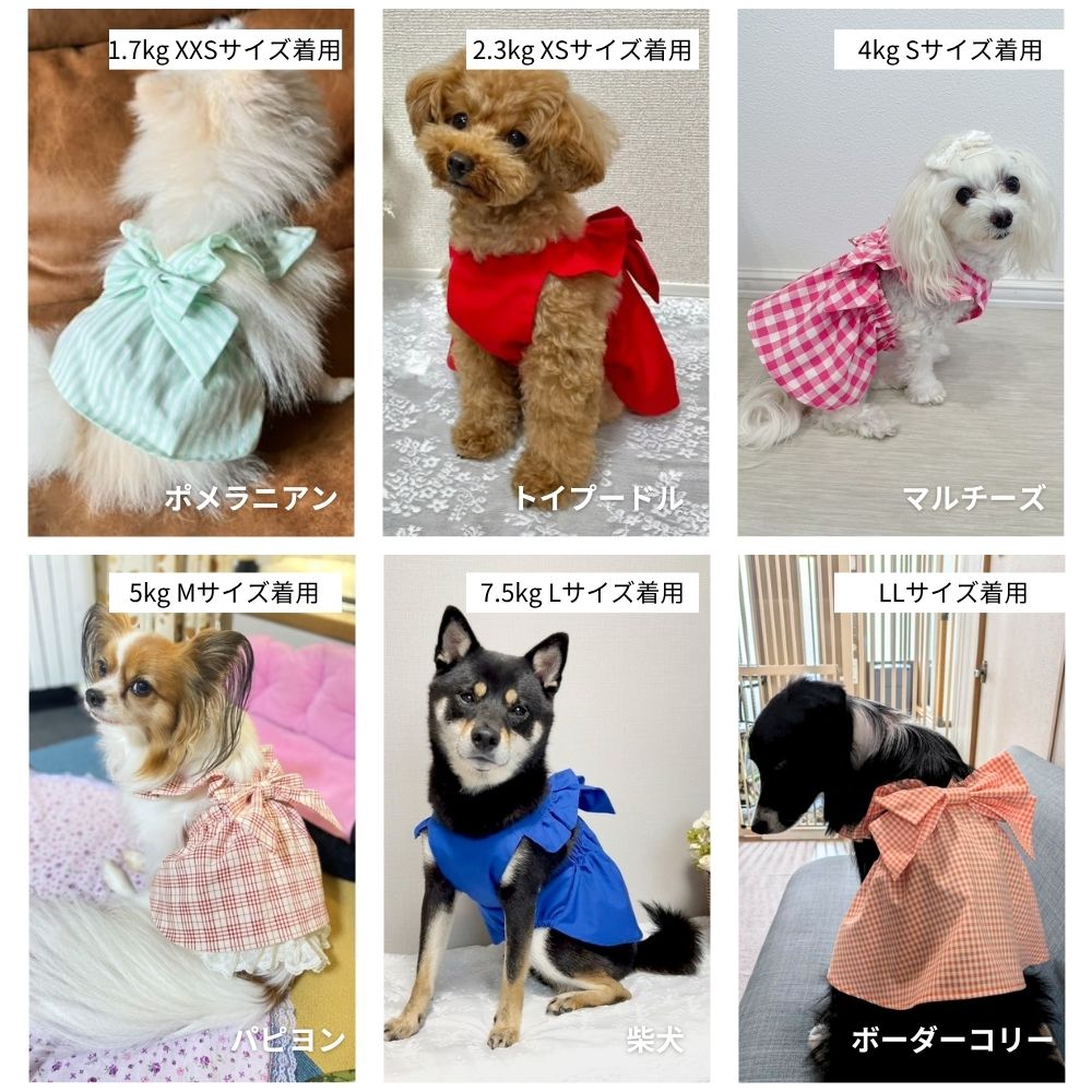 バックリボンフリル ドッグワンピースの型紙