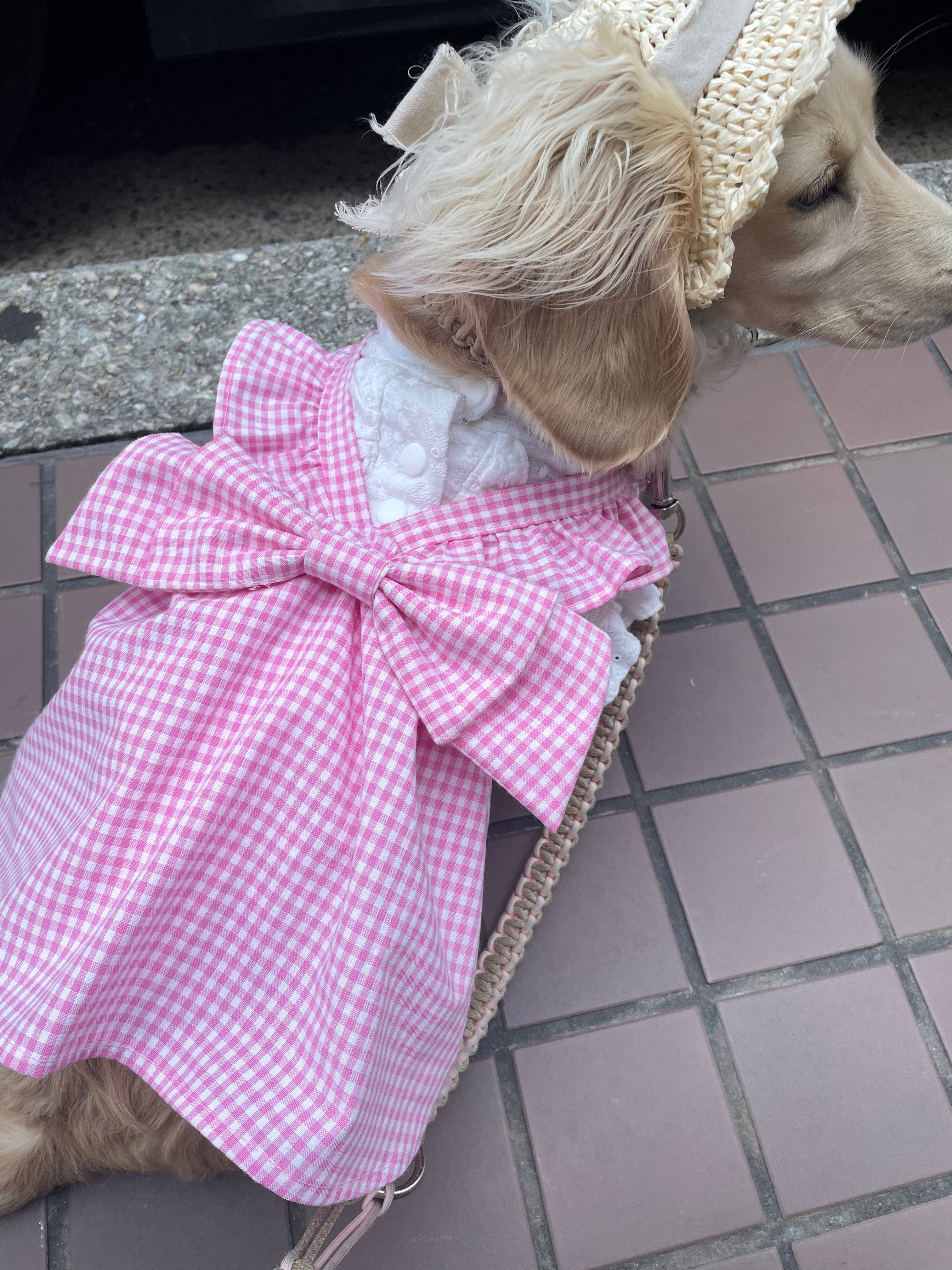 犬服型紙 バックリボンフリル｜布帛で作れるドッグワンピース | 生地の