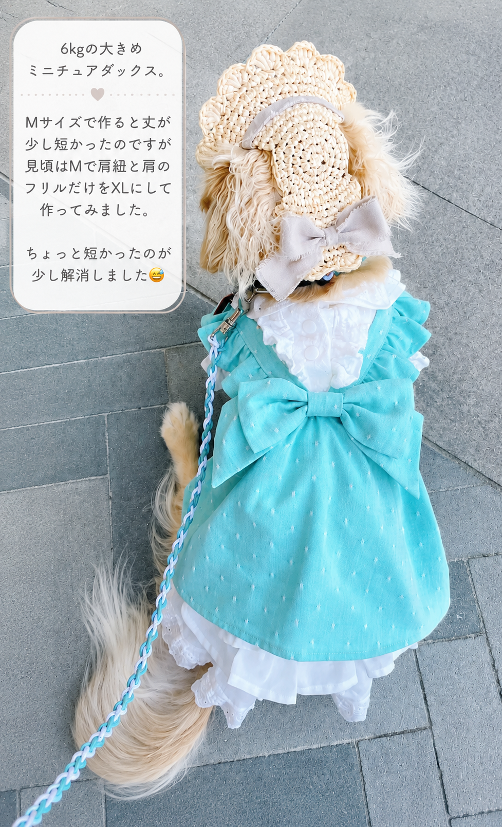 綿ポリ 織りドット#色_ミントグリーン
