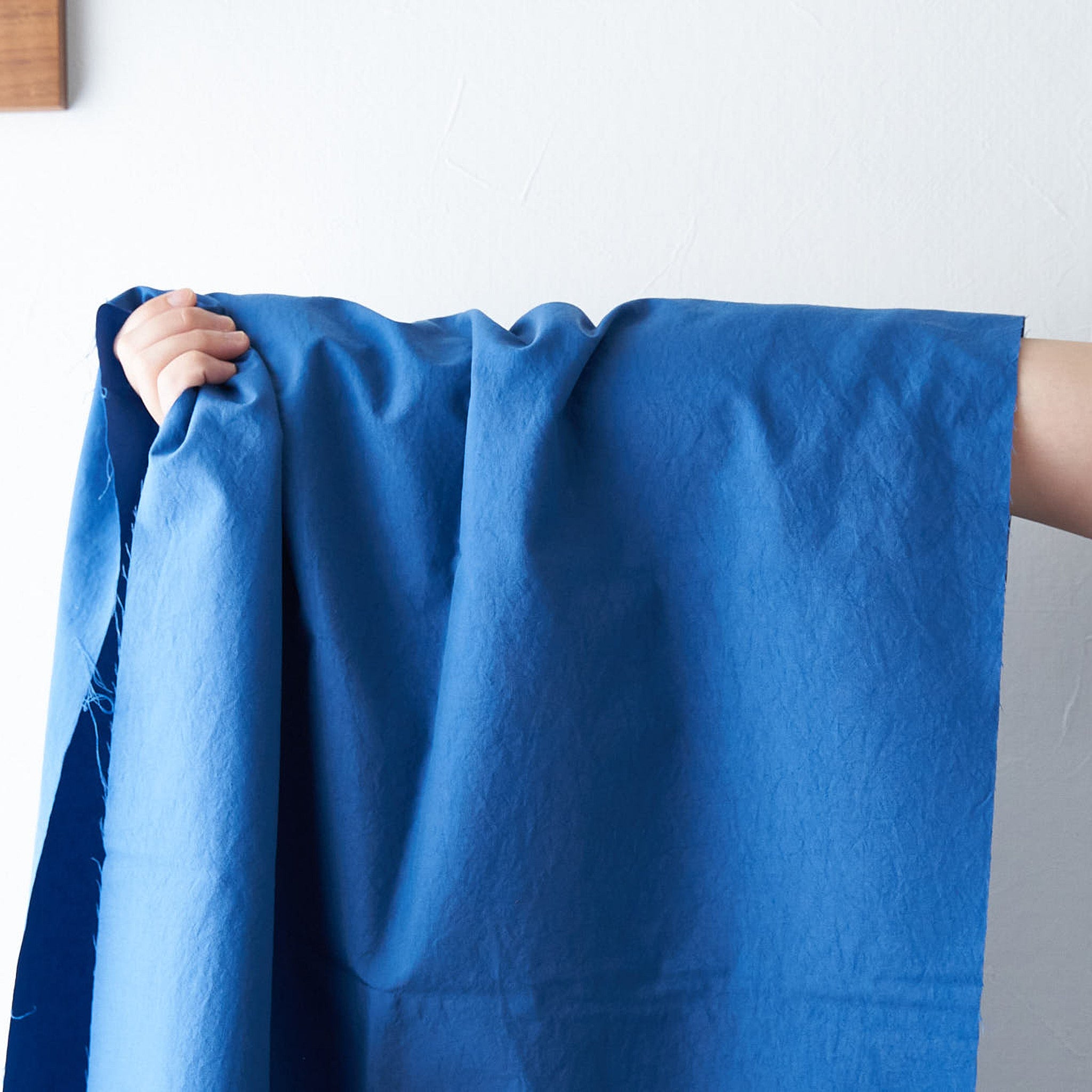 天然染料 ナチュラル ナイロン オックス#102アイ