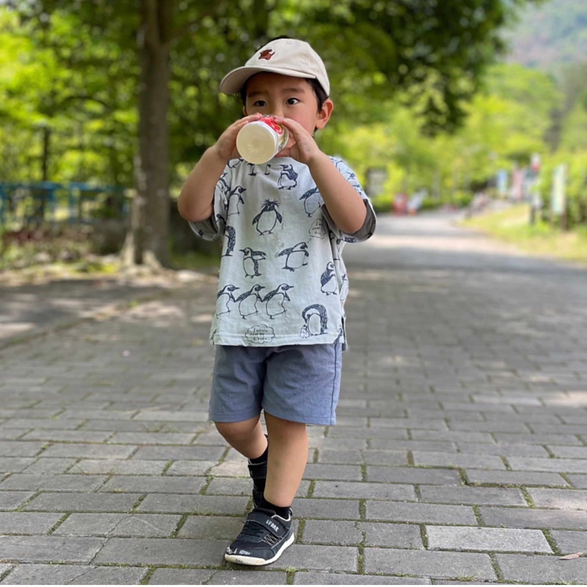 天然染料 ナチュラル ナイロン オックス#19ログウッド