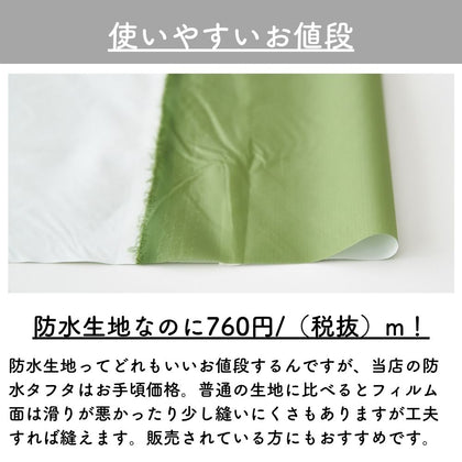 #62 エルムグリーン