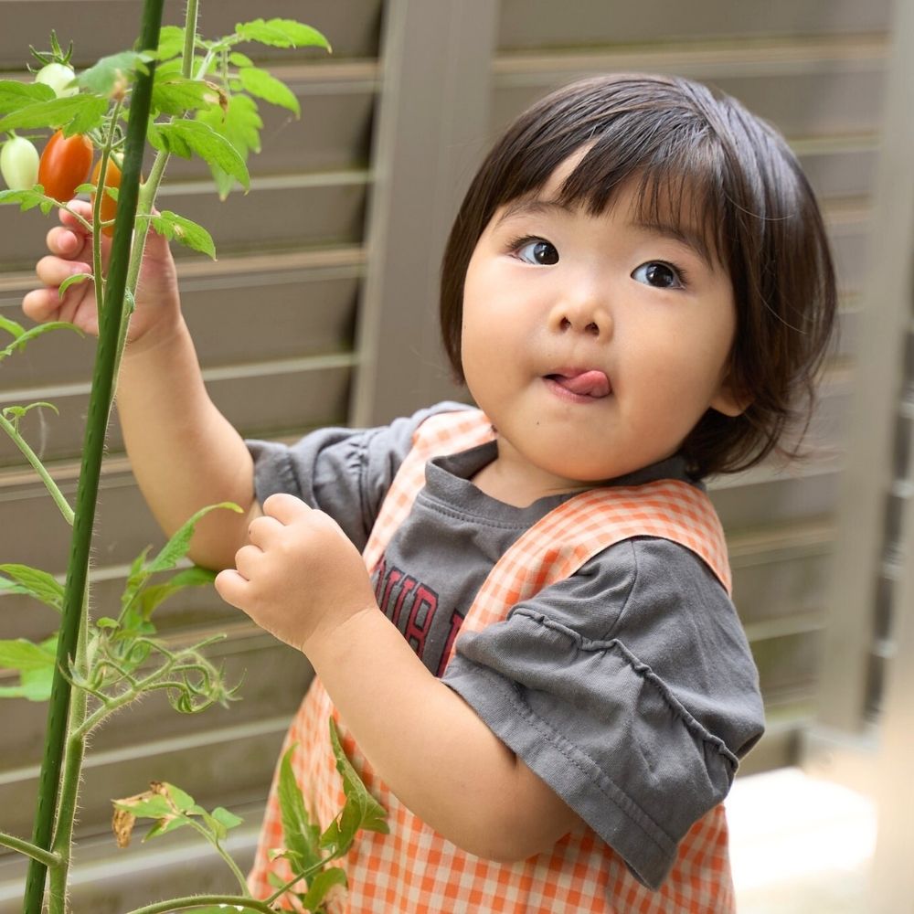 5-001バッククロスエプロンの型紙