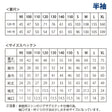 家庭用ミシンで縫えるTシャツ型紙 半袖商品画像