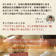 【初めてでも安心｜材料全部入り】入園入学グッズ 手作りキット 綿ポリ生地 画像3