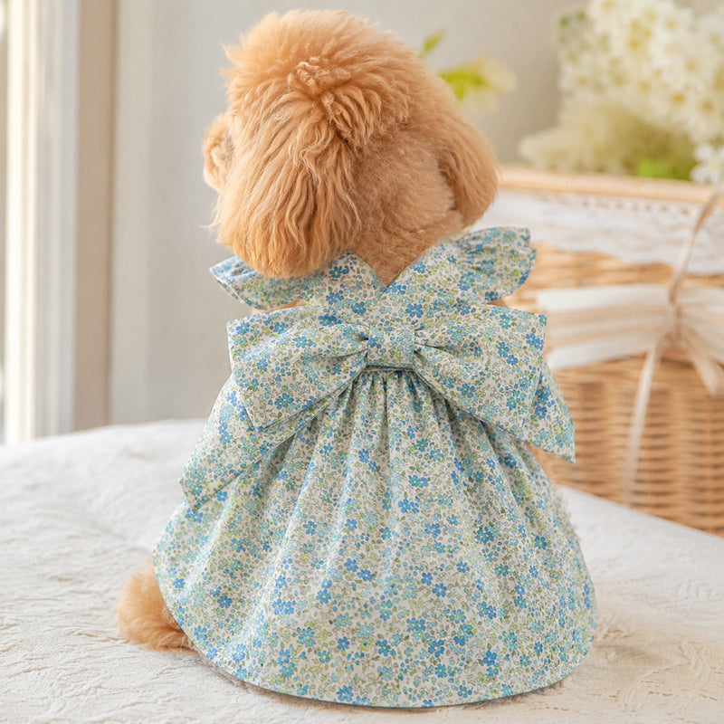 春夏はフラワーブロードで
