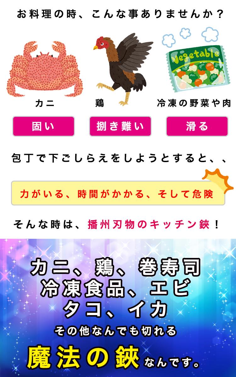 播州刃物 オールステン キッチン鋏 シェフキッチン  Banshu Hamono 名入れ不可