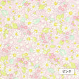 コットンブロード 花柄プリント