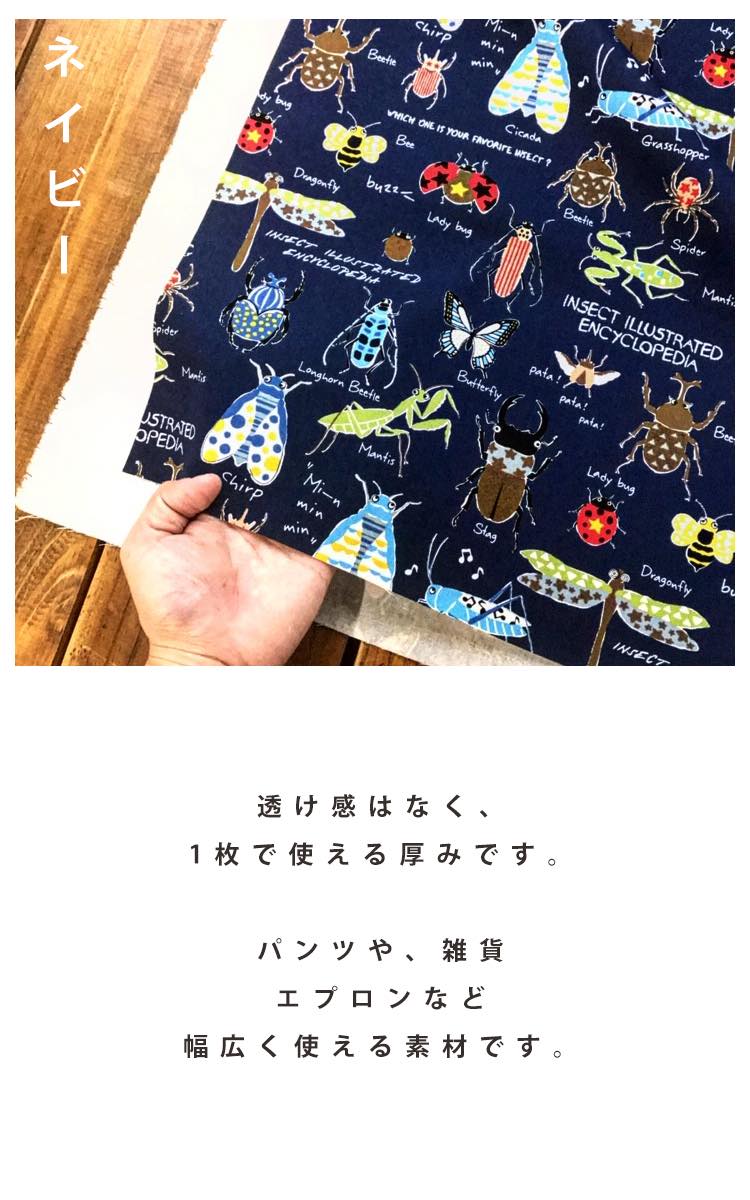 コットンツイル ビートル