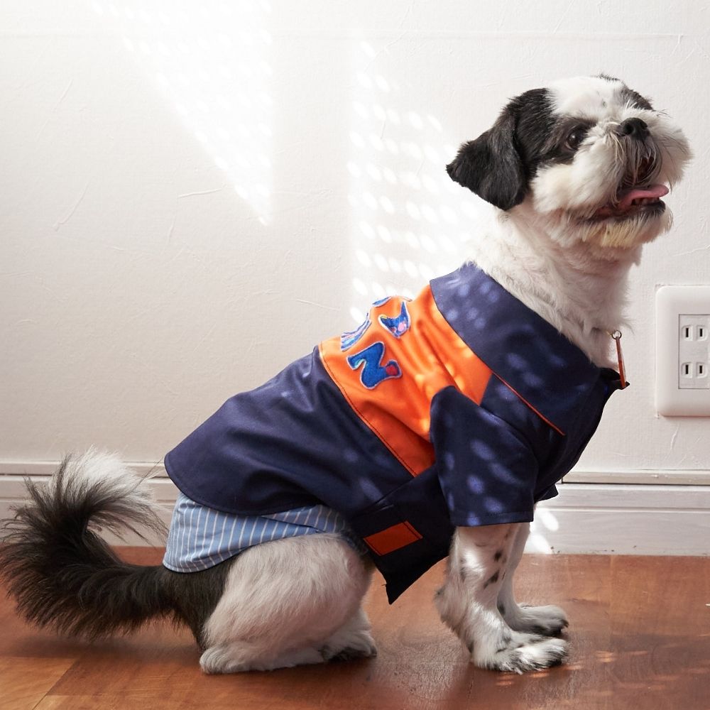 綿ポリ混紡22sツイル