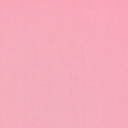 ブーゲンビリア