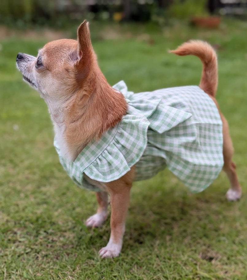 ギンガムチェックの犬服